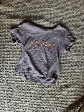 Def Leppard Logo Crop Tee Faded grey